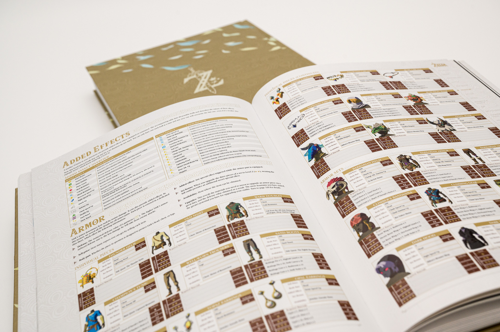 The Legend of Zelda: BOTW Deluxe Edition purchases official guide book